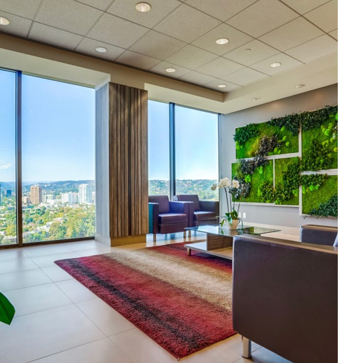  The Law Offices of Michael D. Kolodzi  